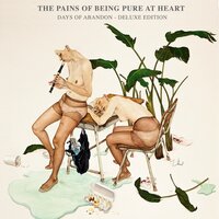 Coral and Gold - The Pains Of Being Pure At Heart