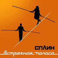 Волк - Сплин