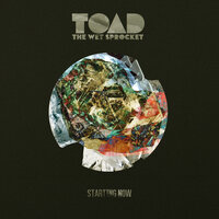 Game Day - Toad The Wet Sprocket