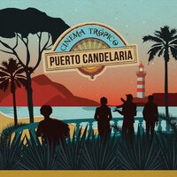 Amor Fingido - Puerto Candelaria