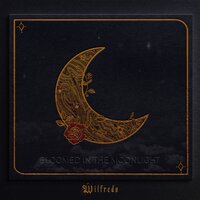 Moonlight - Wilfredo, Edwin Bliss