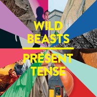 Sweet Spot - Wild Beasts