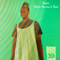 Where Gravity Is Dead - Shamir