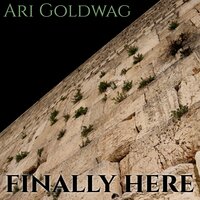 Finally Here - Ari Goldwag