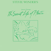 Venus' Flytrap And The Bug - Stevie Wonder