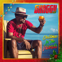 Amazing Christmas - Shaggy