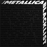 The Unforgiven - Flatbush Zombies, DJ Scratch, Metallica