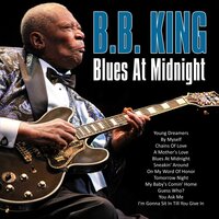 I'm Gonna Sit in Til You Give In - B.B. King