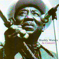 Soon Forgot Ten - Muddy Waters