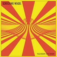 I Don't Give a F*** - Screeching Weasel