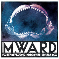 Shark - M Ward