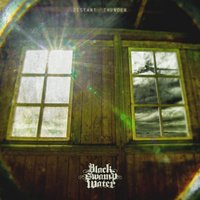 Live Your Darkness - Black Swamp Water
