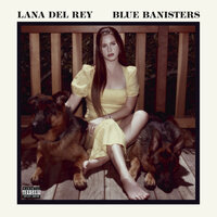 Dealer - Lana Del Rey
