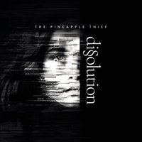 Shed a Light - The Pineapple Thief