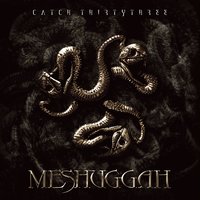 Dehumanization - Meshuggah