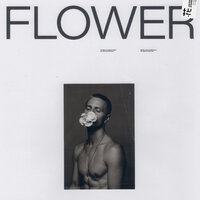 Flower - Johnny Stimson