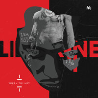 Grove Party - Lil Wayne, Lil B