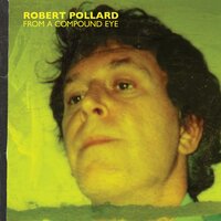 I'm a Strong Lion - Robert Pollard