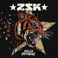 Make Racists Afraid Again - Zsk