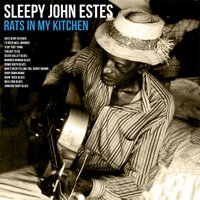 Who's Been Telling You, Buddy Brown - Sleepy John Estes