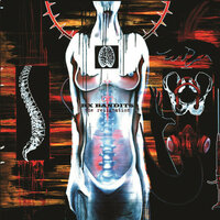 Taking Chase As The Serpent Slithers - RX Bandits