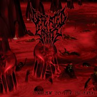 Apocalypse Of Filth / Collapsing Human Failures - Defeated Sanity