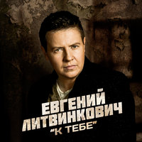 Аномалия - Евгений Литвинкович