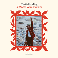 I Won't Let You Down - Curtis Harding