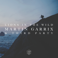 Lions In The Wild - Martin Garrix, Third ≡ Party