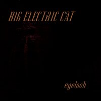 Eyelash - Big Electric Cat
