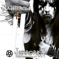 Terrorist - Nattefrost