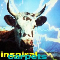 She Comes in the Fall - Inspiral Carpets, Daniel Miller, Gary Wilkinson
