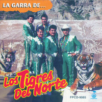 La Daga - Los Tigres Del Norte