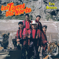 Cumbia De Amor - Los Tigres Del Norte
