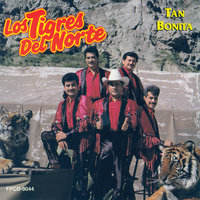 El Amor Es Ciego - Los Tigres Del Norte