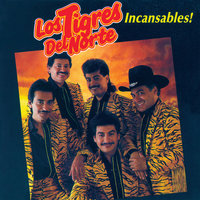 Hoy No Es Mi Dia - Los Tigres Del Norte