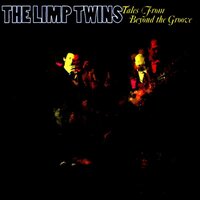 Another Day in the Life of Mr Jones - The Limp Twins