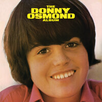 Burning Bridges - Donny Osmond