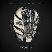 Mystery Of The Invisible - VERIDIA