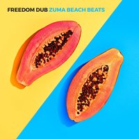 Cheap Thrills - Freedom Dub