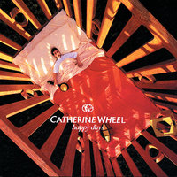 Love Tips Up - Catherine Wheel