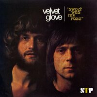 Sweet Was My Rose - Velvet Glove
