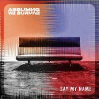 Say My Name - Assuming We Survive