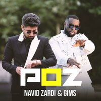 POZ - Navid Zardi, GIMS