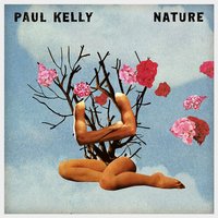 Mushrooms - Paul Kelly
