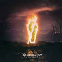 I'm Not Sorry Now - Cemetery Sun