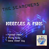 Needles and Pins - Searchers
