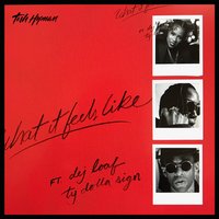 What It Feels Like - Tish Hyman, Ty Dolla $ign, DeJ Loaf