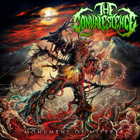 Monument of Misery - The Convalescence