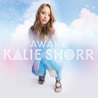 Who What When Where Why - Kalie Shorr